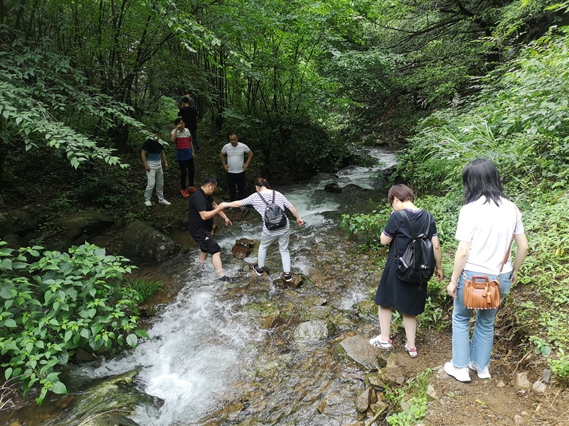 ���݅^(q��)���Y���F(tu��n)�_չ�cף���h98����ϵ�мo(j��)����(�D5)